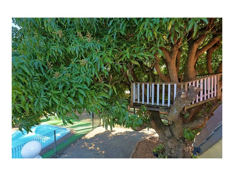 103 Branyan St, Svensson Heights QLD 4670