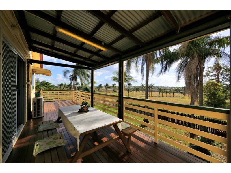 79 ZIELKE AVENUE, Kalkie QLD 4670