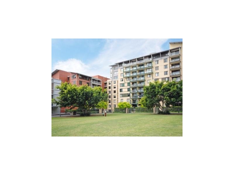 66 Bowman Street, Pyrmont NSW 2009