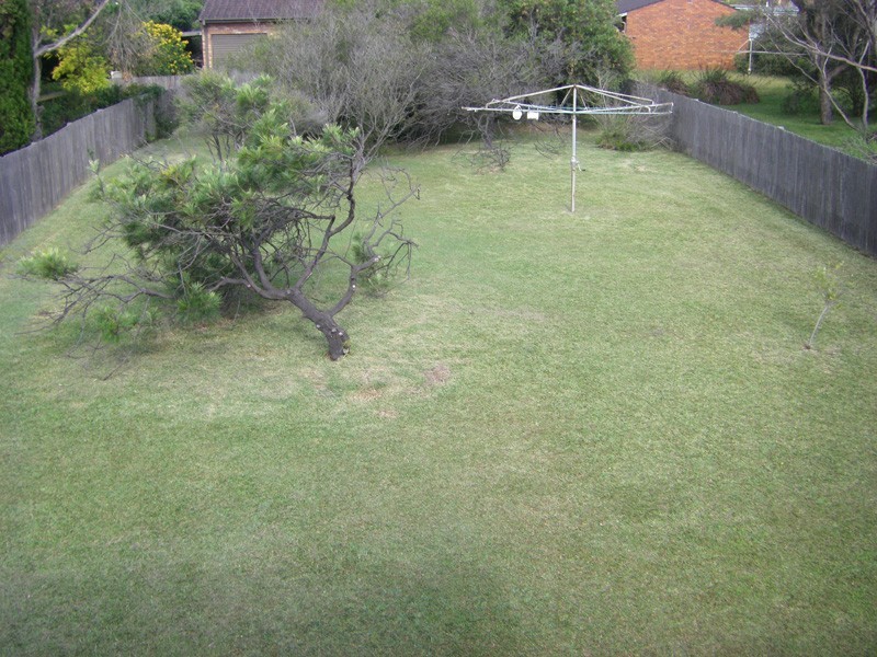 Culburra Beach NSW 2540