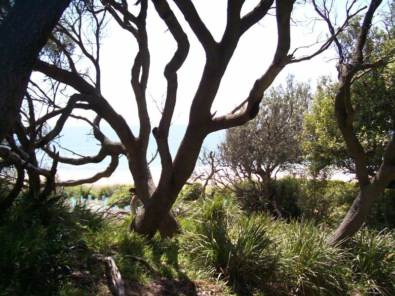 Culburra Beach NSW 2540