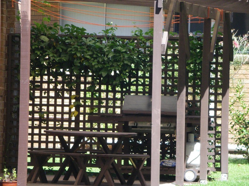 Culburra Beach NSW 2540