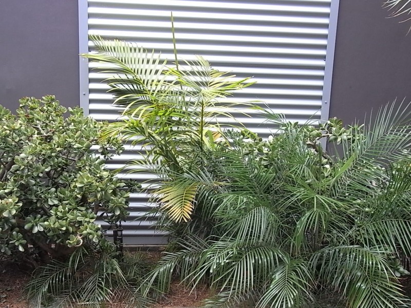 Callala Beach NSW 2540