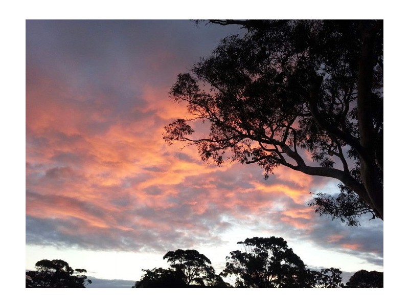 Callala Beach NSW 2540