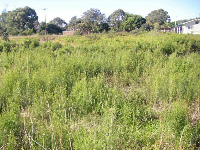 8 East Crescent, Culburra Beach NSW 2540
