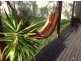 Currarong NSW 2540