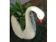 Currarong NSW 2540