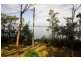 53A Greenbank Grove, Culburra Beach NSW 2540
