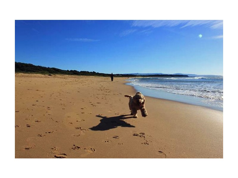 Culburra Beach NSW 2540