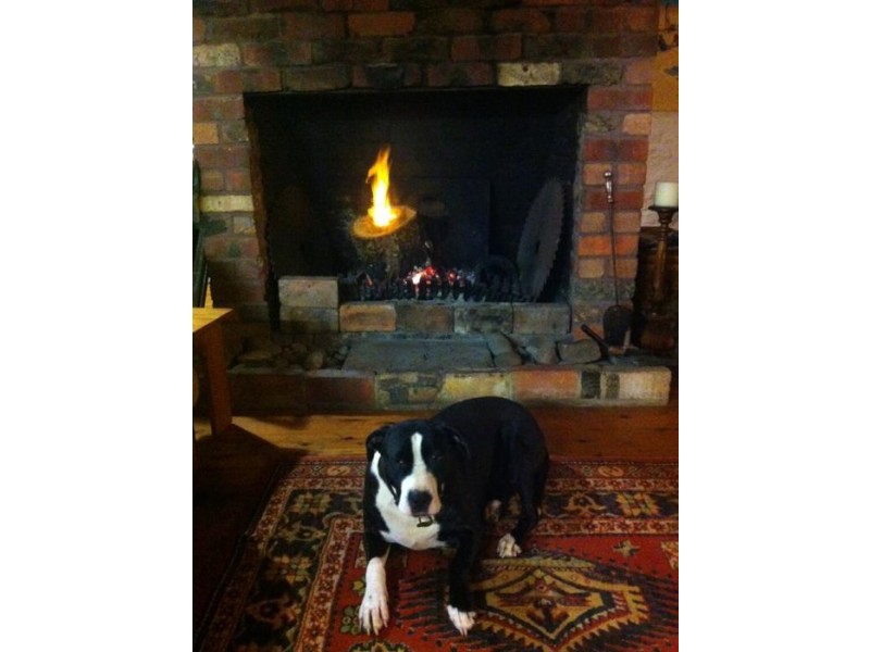 Culburra Beach NSW 2540