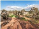 7 Adler Heights, Swan View WA 6056