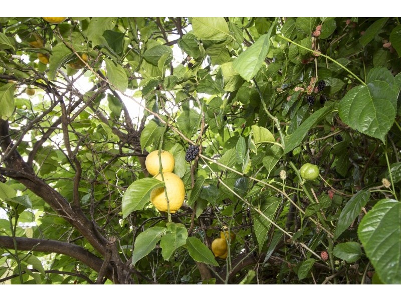 21 Approach Rd, Boya WA 6056