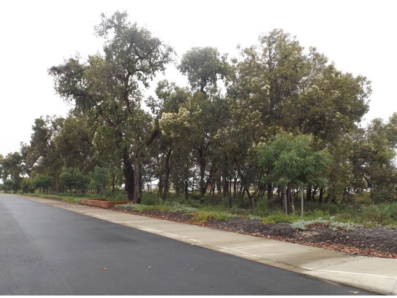 148 Bernborough Ave, Caversham WA 6055
