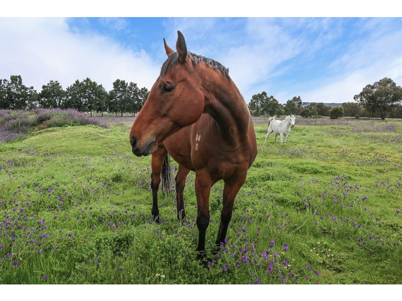 62 James Road, Middle Swan WA 6056