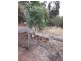 1360 Viveash Road, Swan View WA 6056