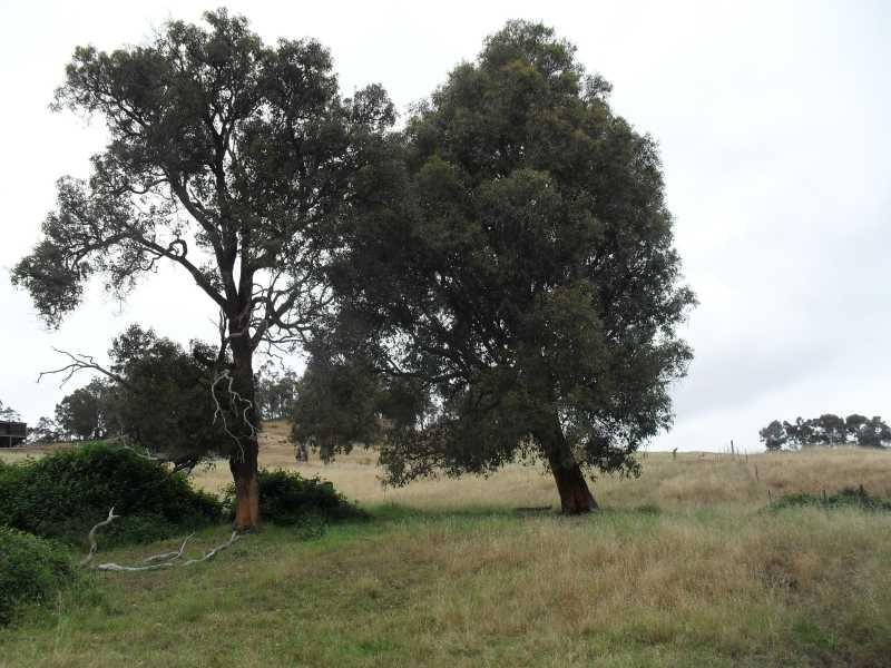 43 South Western Hwy, Bridgetown WA 6255