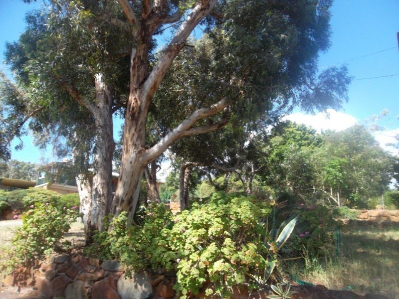 17 Cairnhill Court, Darlington WA 6070