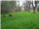 2845 Strettle Rd, Mahogany Creek WA 6072