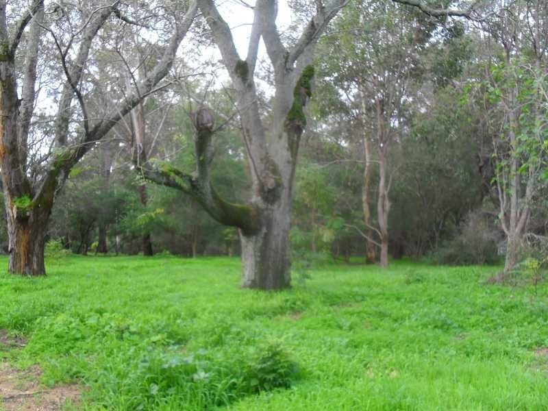 2845 Strettle Rd, Mahogany Creek WA 6072