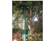 14 Wheeler Street, York WA 6302