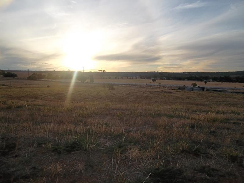 4 Jacamar Drive, Northam WA 6401