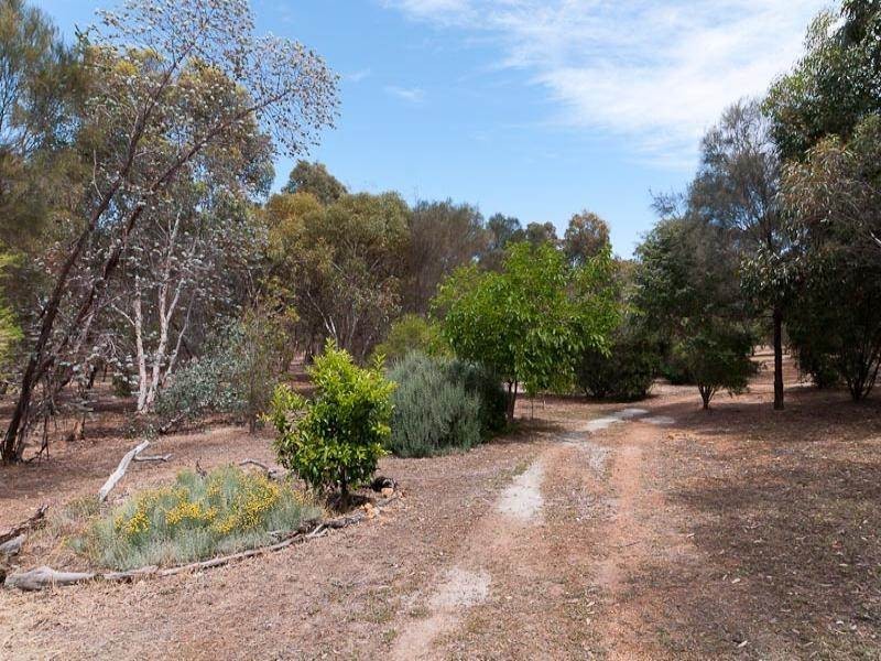 61 Accedens Rise, Bakers Hill WA 6562