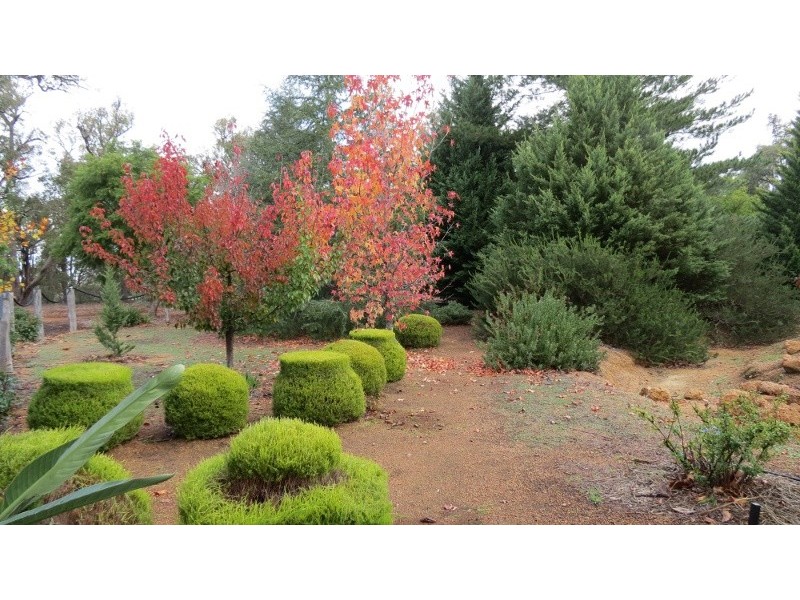 41 Hargraves Cres, Gidgegannup WA 6083