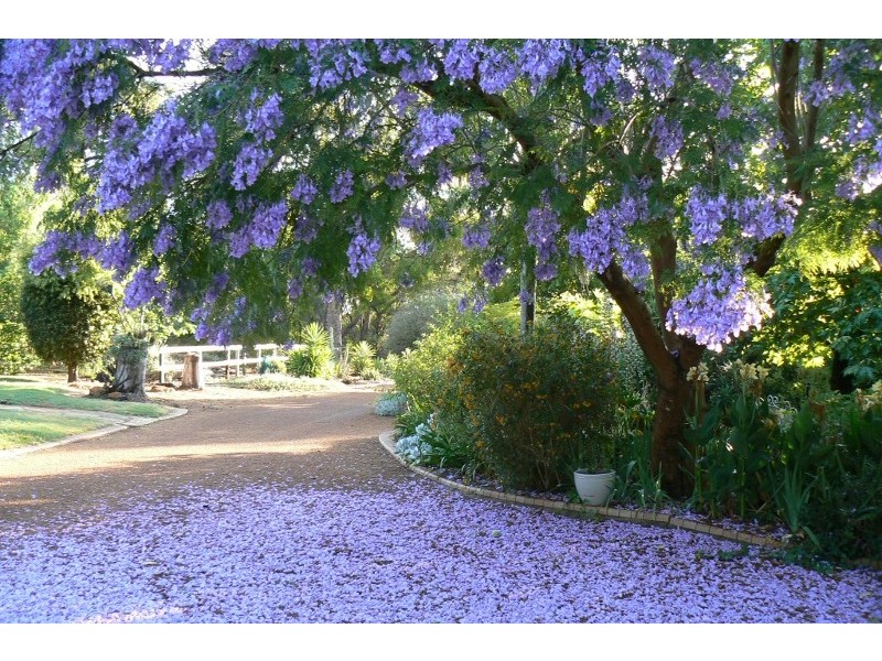 41 Hargraves Cres, Gidgegannup WA 6083