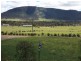 22 Scott Street, York WA 6302