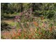 195 Nelson Rd, Glen Forrest WA 6071