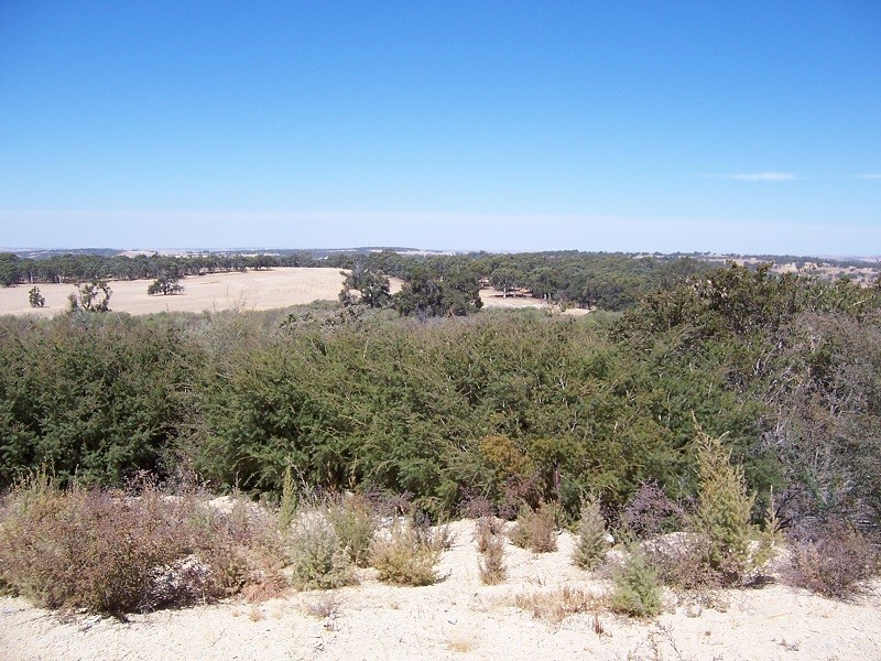 13 Searle Drive, Clackline WA 6564