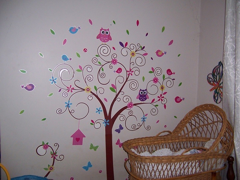 77 Accedens Rise, Bakers Hill WA 6562