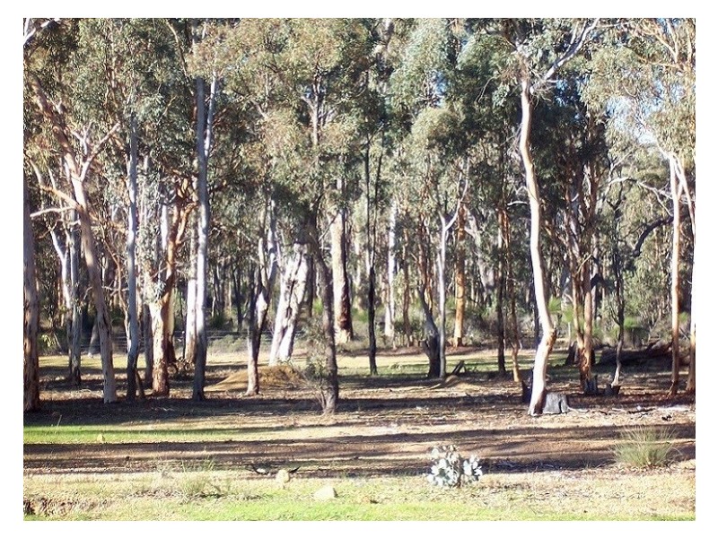 77 Accedens Rise, Bakers Hill WA 6562