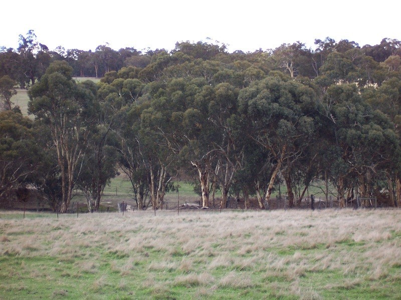 Lot 258 Koojedda Road, Bakers Hill WA 6562