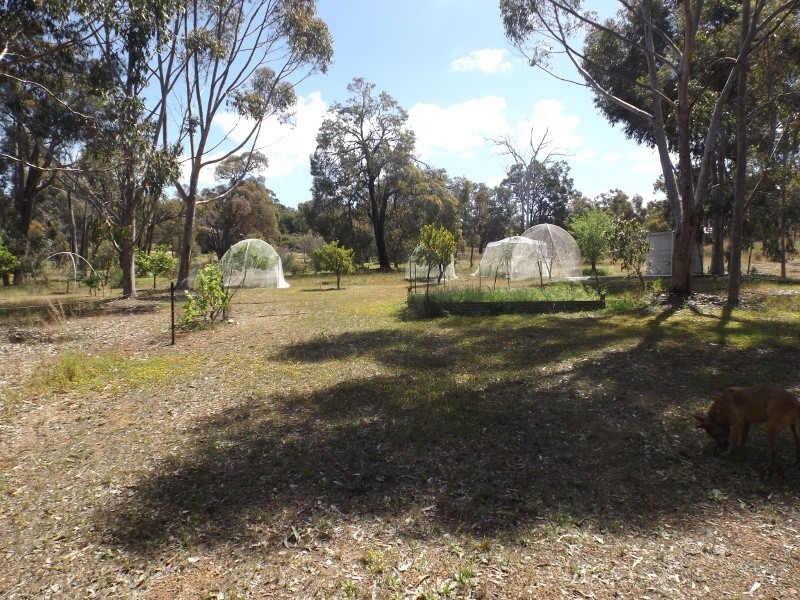 35 Richmond Rd, Gidgegannup WA 6083