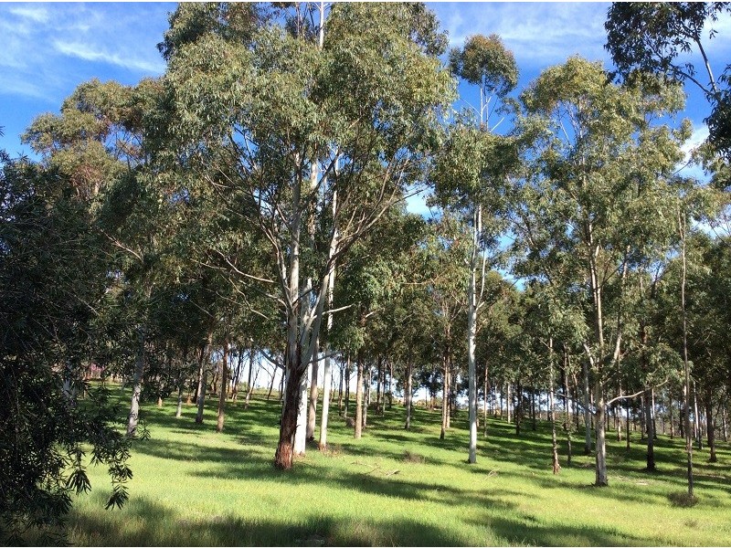 4806 Great Eastern Hway, Bakers Hill WA 6562