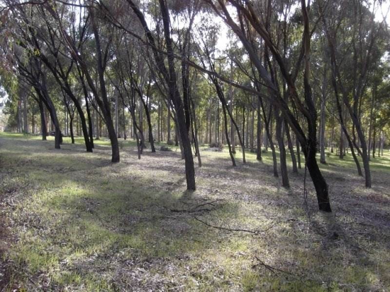 4806 Great Eastern Hway, Bakers Hill WA 6562