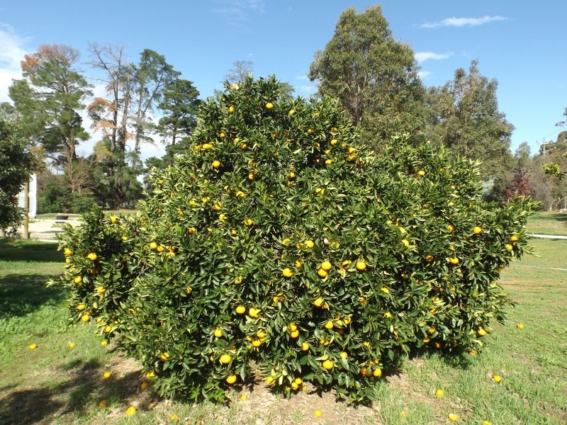 355 Bailey Road, Glen Forrest WA 6071