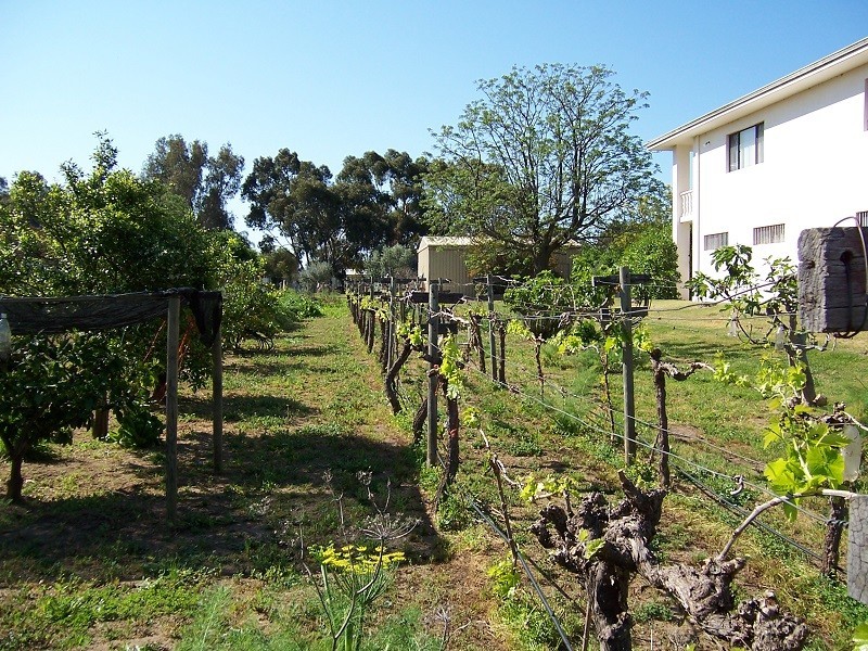 11 Wann Court, Upper Swan WA 6069