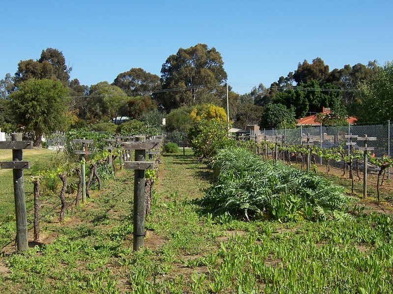 11 Wann Court, Upper Swan WA 6069