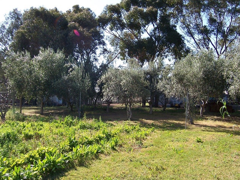 11 Wann Court, Upper Swan WA 6069