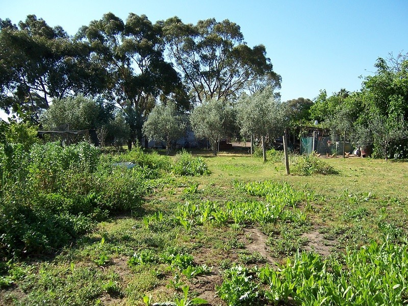 11 Wann Court, Upper Swan WA 6069