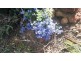 1695 Alice Rd, Mount Helena WA 6082