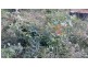 1695 Alice Rd, Mount Helena WA 6082