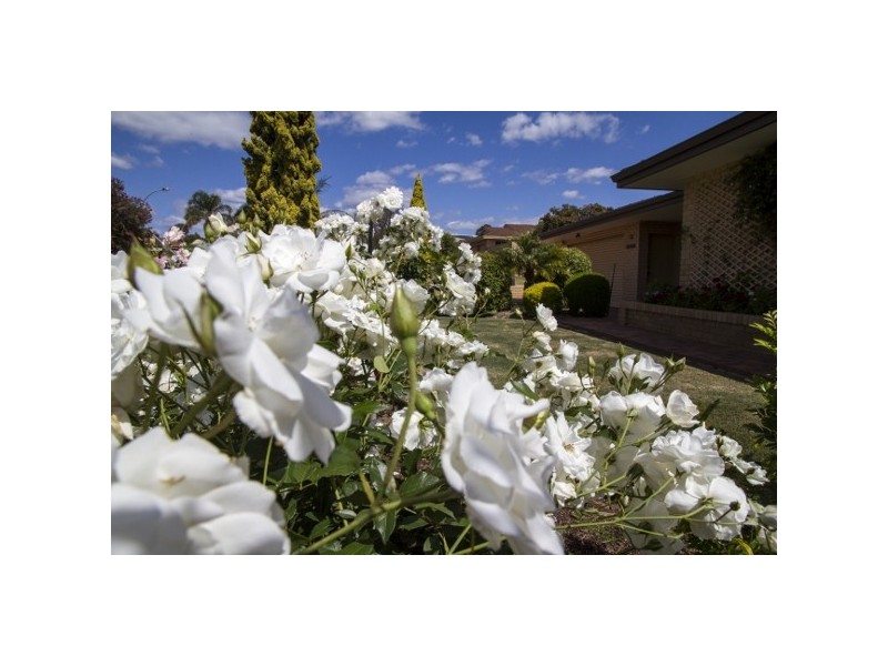 60 Gallipoli Drive, Greenmount WA 6056