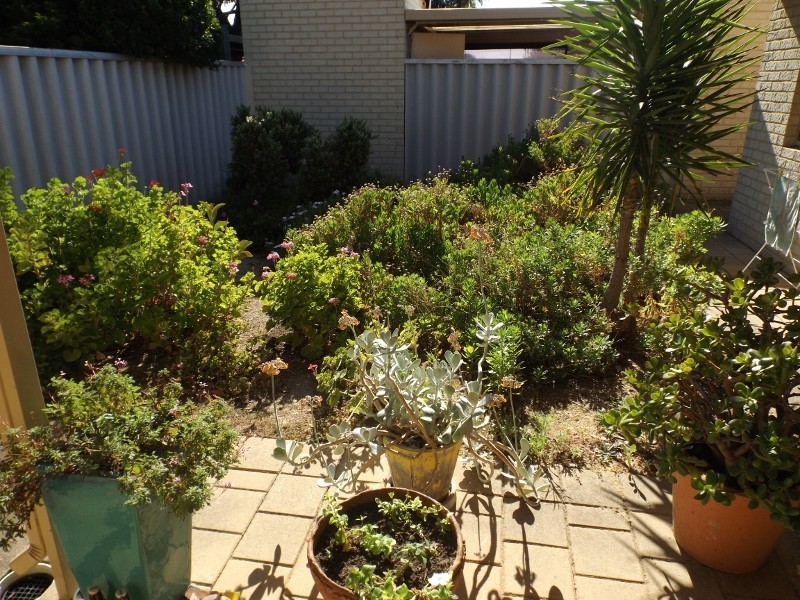 17-30 Victoria Pde, Midvale WA 6056