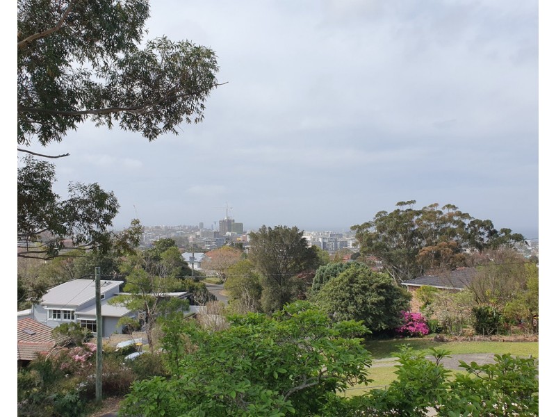 21 Hilltop Avenue, Wollongong NSW 2500