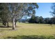 50 Parkside Drive, Dapto NSW 2530