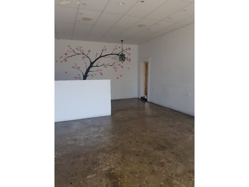 4/2 Balfour Street, Fairy Meadow NSW 2519