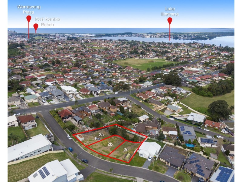 2b Backhouse Road, Lake Heights NSW 2502